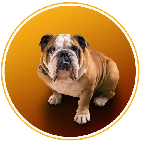 Paco